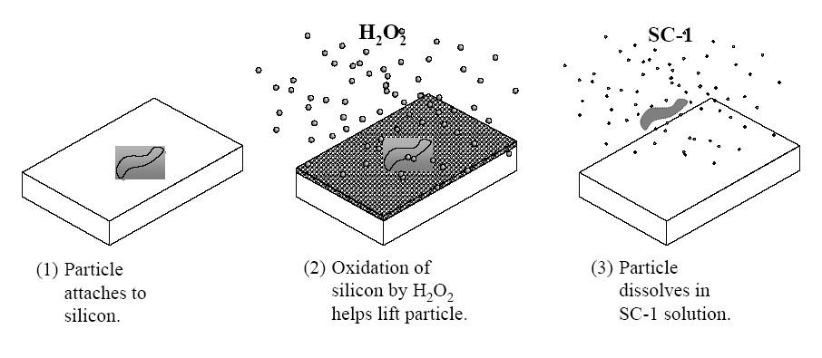 Oxidation and Solubility of Particle in SC-